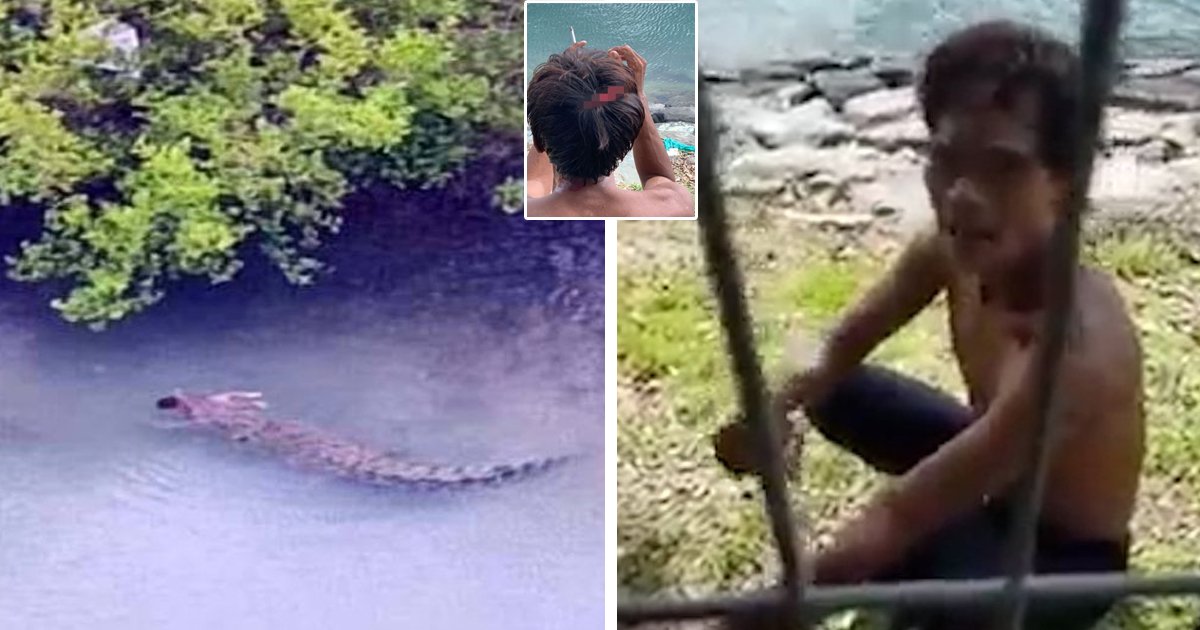 d173 1.jpg?fit=1024%2C538&ssl=1&strip=all - BREAKING: 11ft Crocodile SNATCHES Baby From Dad's Arms & Swallows Him Whole While He Was Seated On A Boat