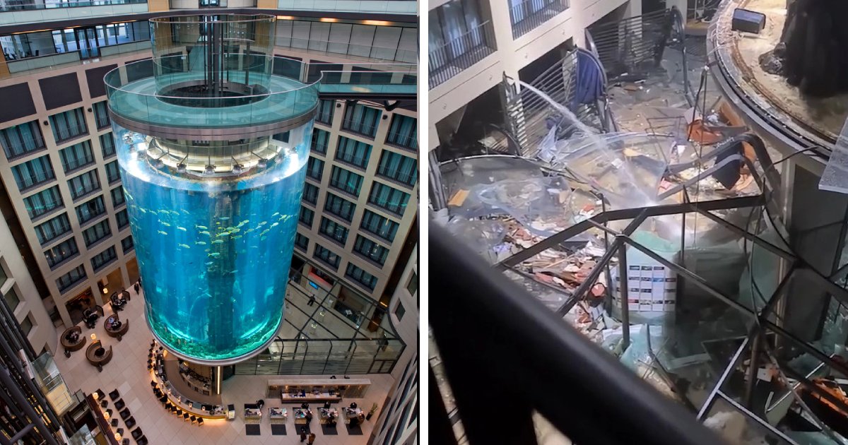 t1 4.png?resize=412,275 - BREAKING: Aquarium 'Tsunami' Causes UNBELIEVABLE Maritime Damage As HUGE Tank Explodes In A German Hotel