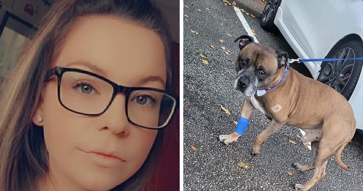 t1.png?resize=412,232 - EXCLUSIVE: Devastated Mom Tells Kids 'Christmas Is CANCELED' After Pet Dog Diagnosed With Bone Cancer