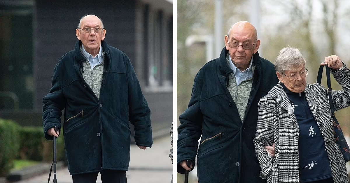 t3 10.png?resize=1200,630 - BREAKING: 78-Year-Old Driver Who Ran Over His Wife's Best Friend Is SPARED Jail