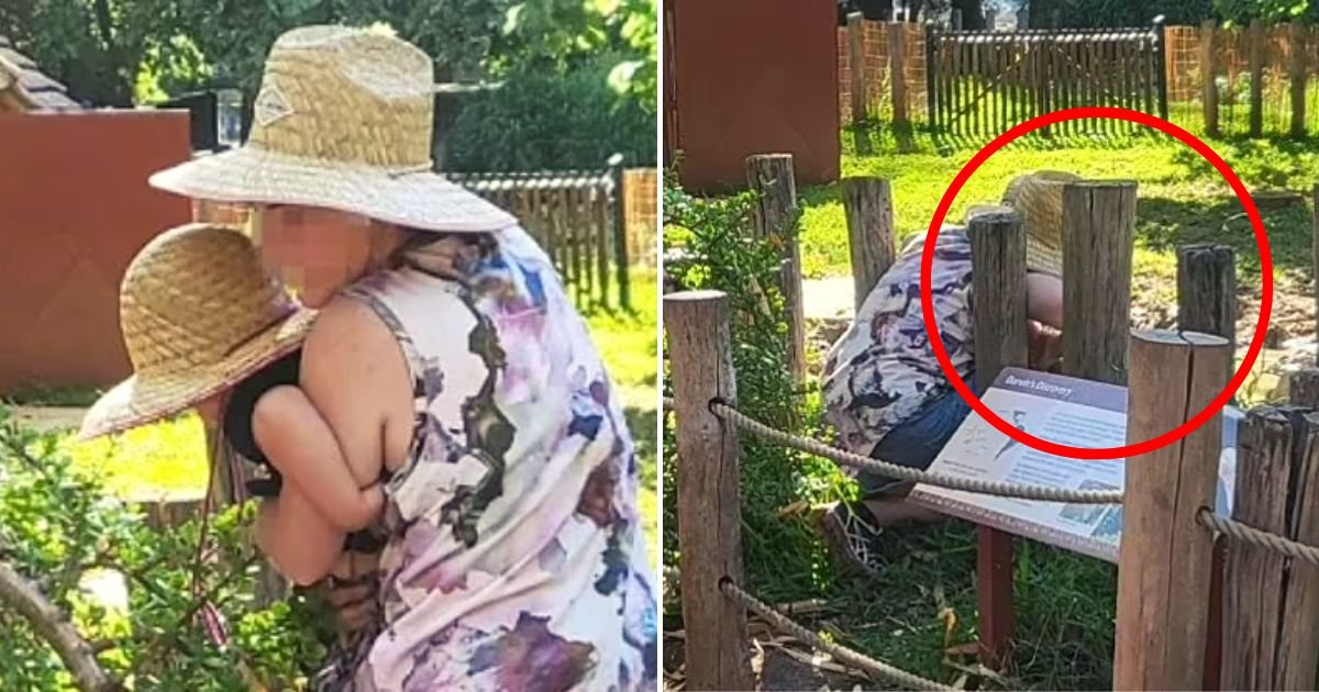tortoise4.jpg?resize=412,275 - Parents SLAMMED For 'Entitled' Behavior After They Stepped Over The Barrier Of A Dangerous Animal Enclosure In A Zoo