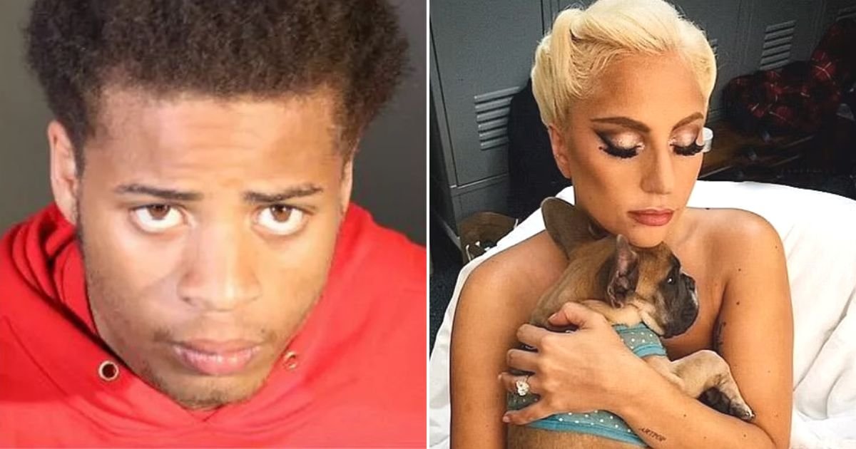 untitled design 39.jpg?fit=1024%2C538&ssl=1&strip=all - BREAKING: Man Who Kidnapped Lady Gaga's Dogs Is SENTENCED