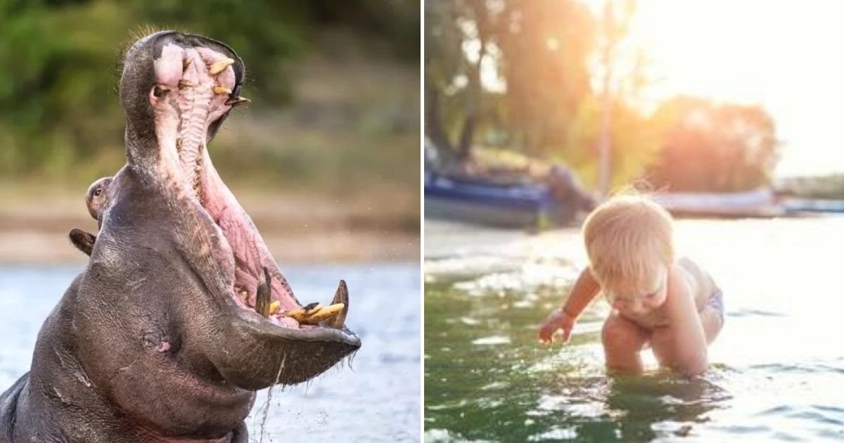 untitled design 81.jpg?resize=1200,630 - BREAKING: Angry Hippo Swallows A BABY Before Spitting Him Out Alive