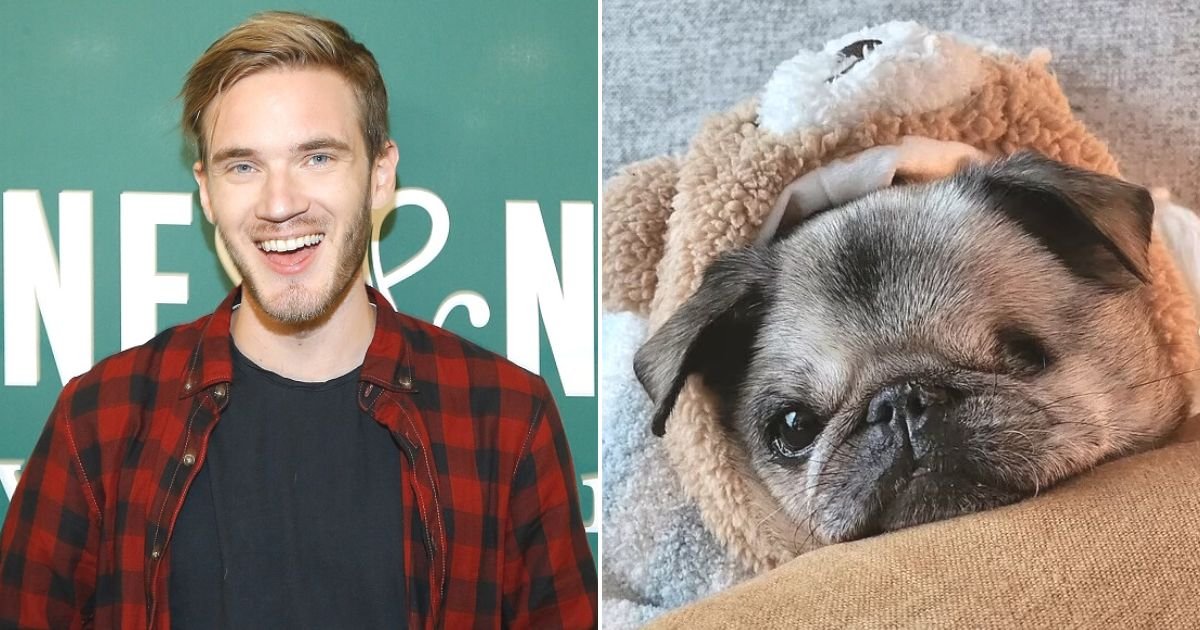 untitled design 98.jpg?resize=1200,630 - JUST IN: PewDiePie Reveals His Beloved Pug Maya Has Died