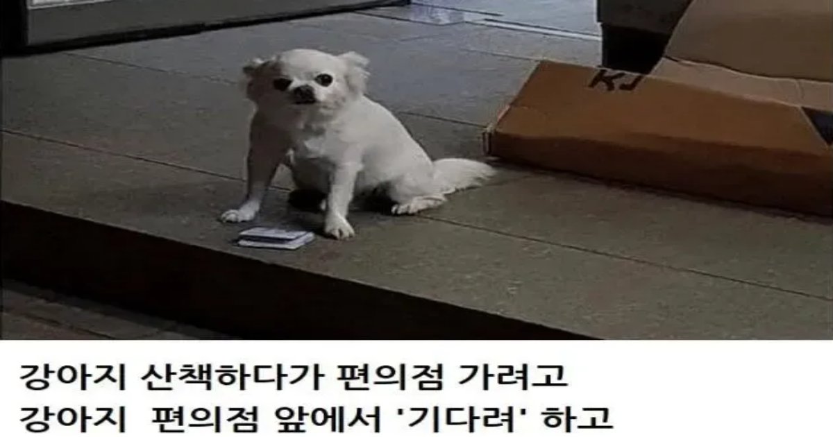 20230131151350.png?resize=1200,630 - ??? : 멍멍아 뜨신 밥이라도 사 먹거라...