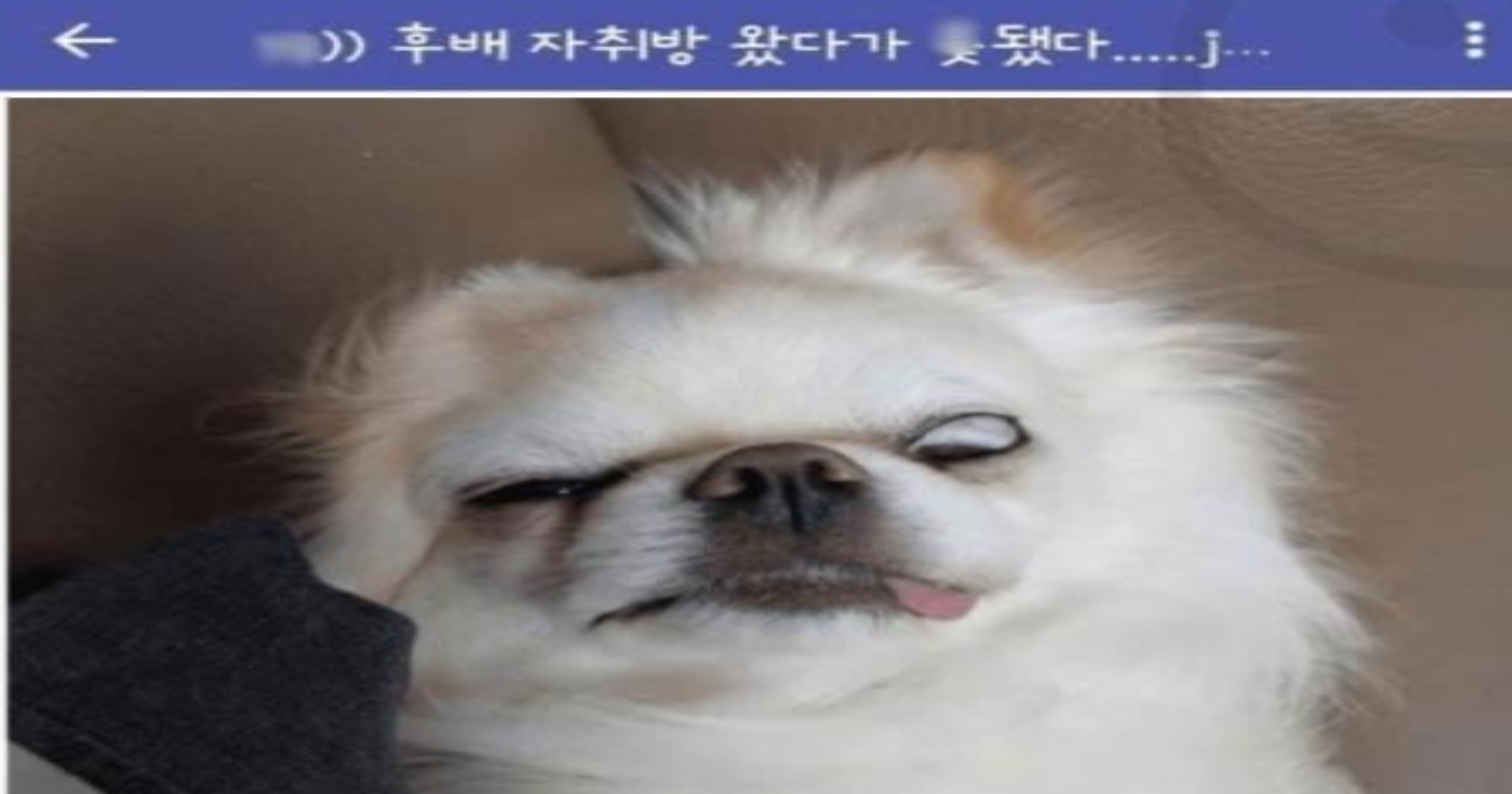 5e4d9fe4 fa9b 4db3 b477 56a8d35e8b13.jpeg?resize=1200,630 - 후배 자취방 왔다가 X된 사람