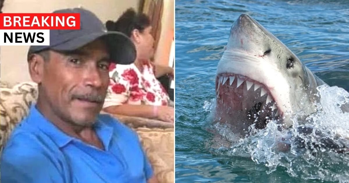 breaking 35.jpg?resize=412,232 - BREAKING: Man Is Decapitated By Massive Great White Shark In Front Of Horrified People