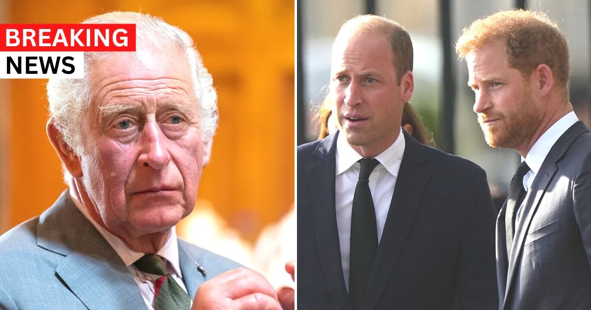 breaking 56.jpg?resize=412,275 - BREAKING: King Charles' Heartbreaking Plea To Harry And William Is REVEALED