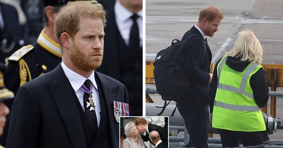 d37 1.jpg?resize=1200,630 - BREAKING: Prince Harry Received A 'Really Horrible Reaction' From Royals On The Day That The Queen Passed Away, New Memoir Claims
