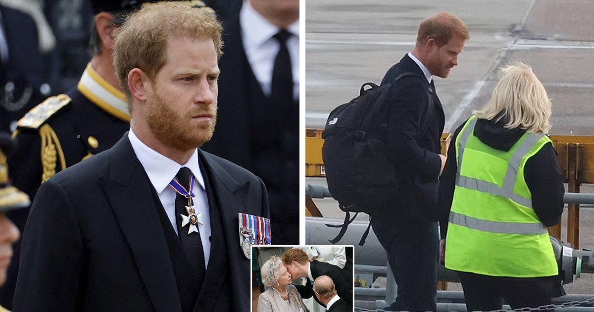 d37 1.jpg?resize=412,275 - BREAKING: Prince Harry Received A 'Really Horrible Reaction' From Royals On The Day That The Queen Passed Away, New Memoir Claims