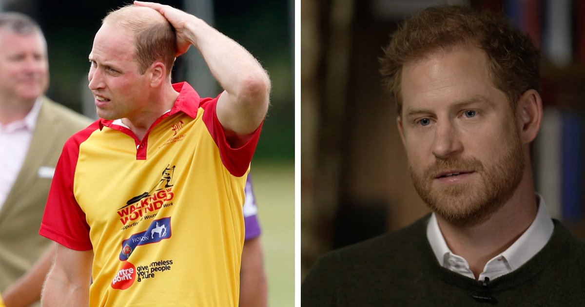 d48.jpg?resize=1200,630 - BREAKING: Prince Harry Slammed By Royal Fans For 'Petty Attack' On Prince William's 'Baldness'
