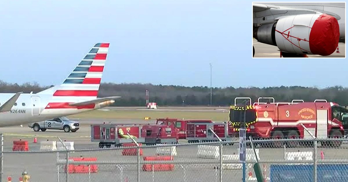 d5.jpg?resize=412,275 - BREAKING: Ground Airport Staff Member DIES After Being 'INGESTED Into The Engine' Of A Parked Plane