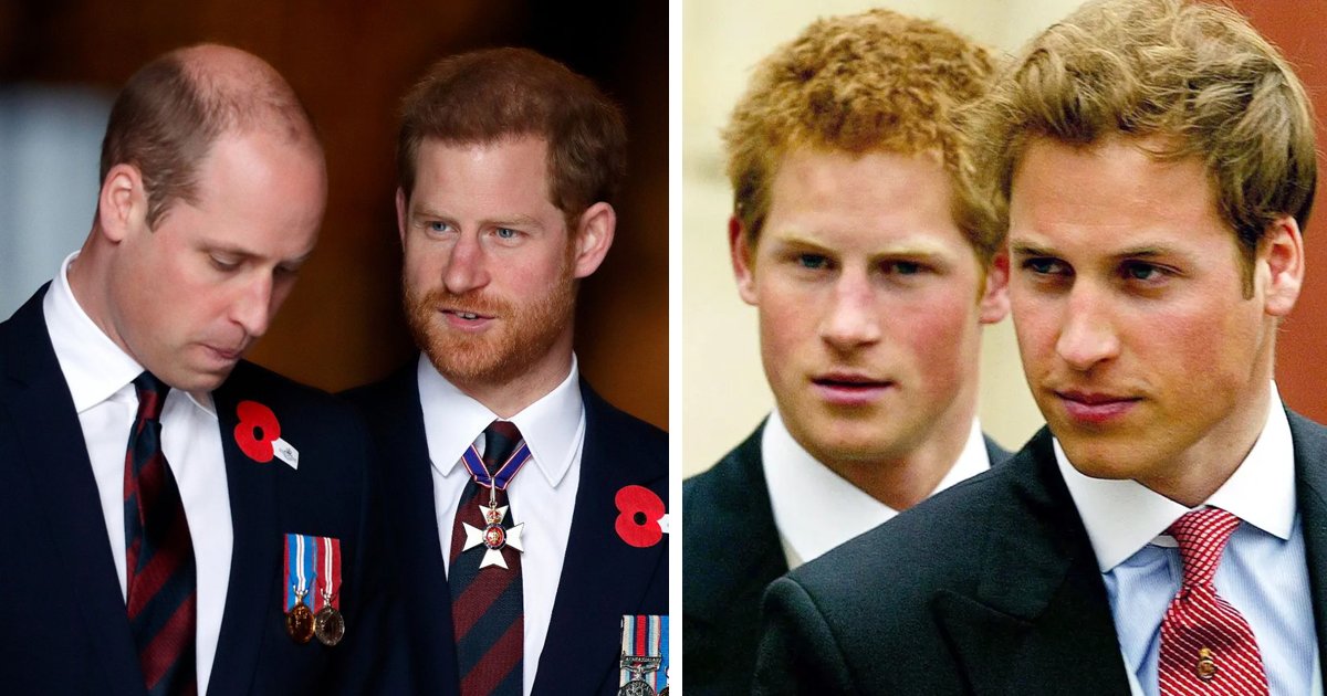 d55.jpg?resize=1200,630 - BREAKING: Prince Harry Claims He Was Born To Offer His 'Spare Organs' To Heir Prince William