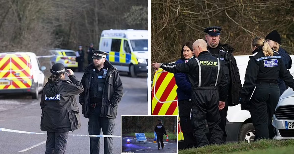 d67.jpg?fit=1024%2C538&ssl=1&strip=all - BREAKING: Young Female Dog Walker MAULED To DEATH By Pets She Was Hired To Walk