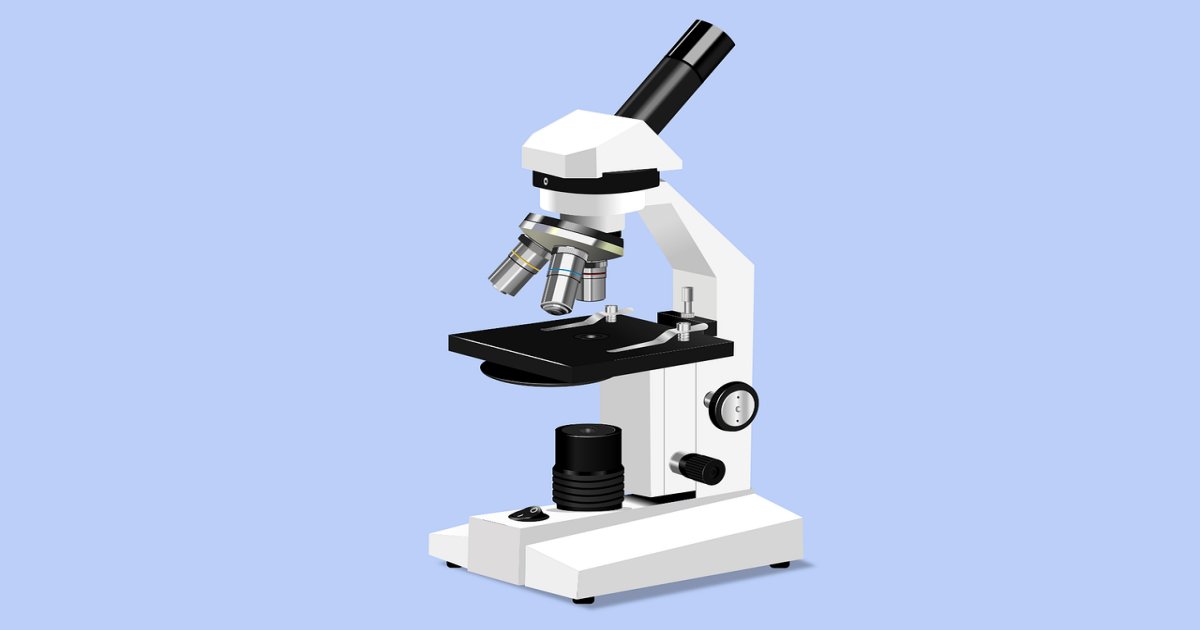 microscope 4761195 1280.png?resize=1200,630 - '전기톱' 뺨 친다는 물건의 단면...jpg