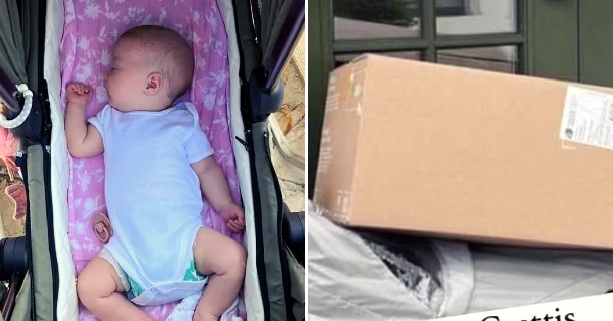 stroller3.jpg?resize=1200,630 - Delivery Driver Drops 22Lb Package On Top Of A BABY Who Was Sleeping In A Stroller Outside Their Family Home