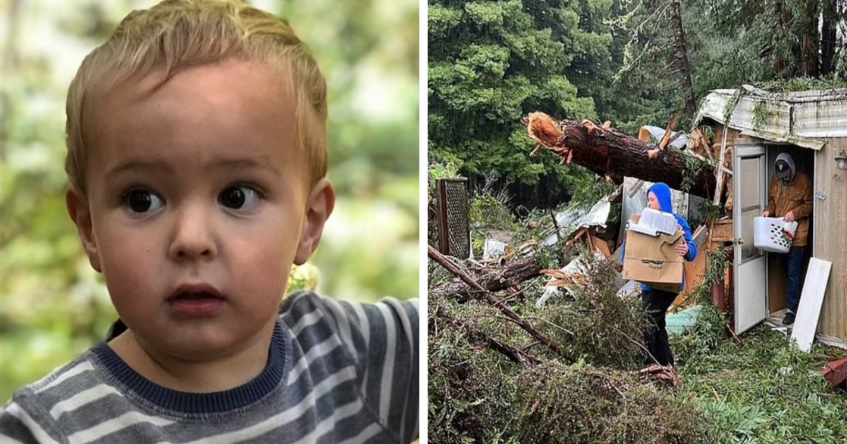 t2 8.png?resize=412,275 - BREAKING: Terrifying Drone Footage Shows Aftermath Of Bomb Cyclone That Struck California & KILLED Innocent 2-Year-Old Child