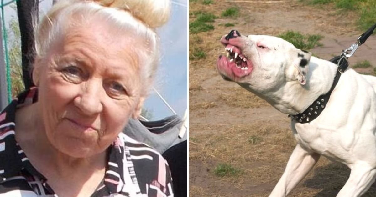 untitled design 14.jpg?fit=1024%2C538&ssl=1&strip=all - JUST IN: Grandmother Is Killed At Her Home In ‘Violent’ Dog Attack