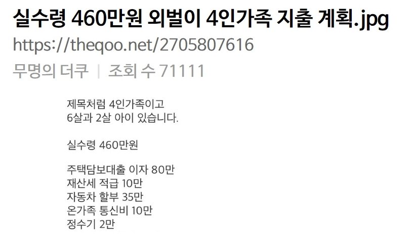 20230202163710.png?resize=1200,630 - 실수령 460만원인 외벌이 4인 가족 지출 계획.jpg