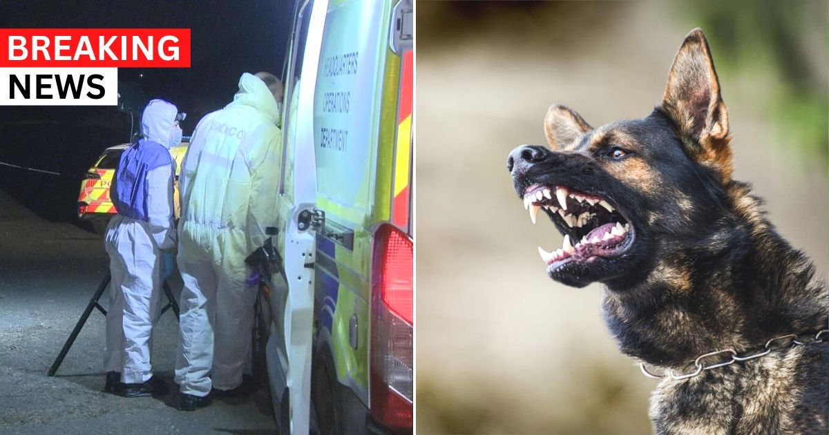 breaking 48.jpg?fit=1024%2C538&ssl=1&strip=all - BREAKING: 4-Year-Old Girl Is Mauled To Death By A Dog While Playing In The Garden