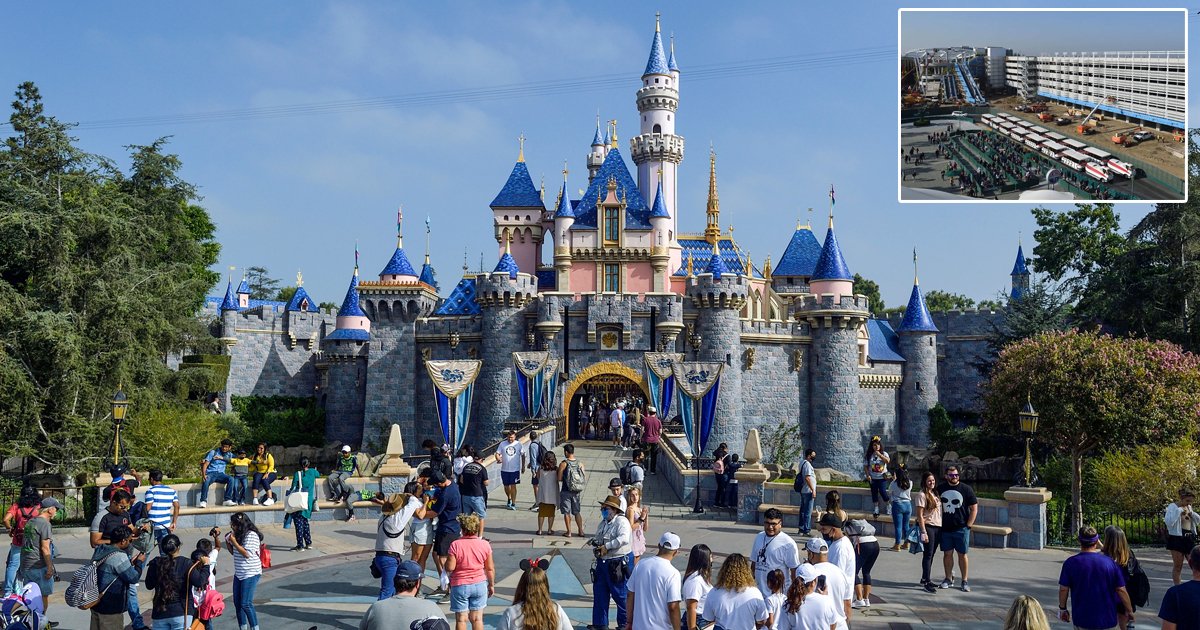 d106.jpg?resize=412,275 - BREAKING: Woman DIES After Falling From Disneyland Structure In California