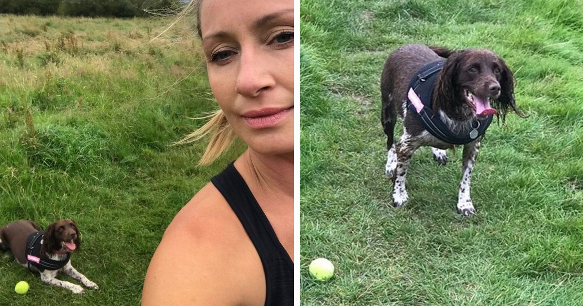 d20.jpg?resize=1200,630 - BREAKING: Authorities Confirm Missing Woman Nicola Bulley's Dog Could Crack Mystery & Lead Cops To Her Whereabouts