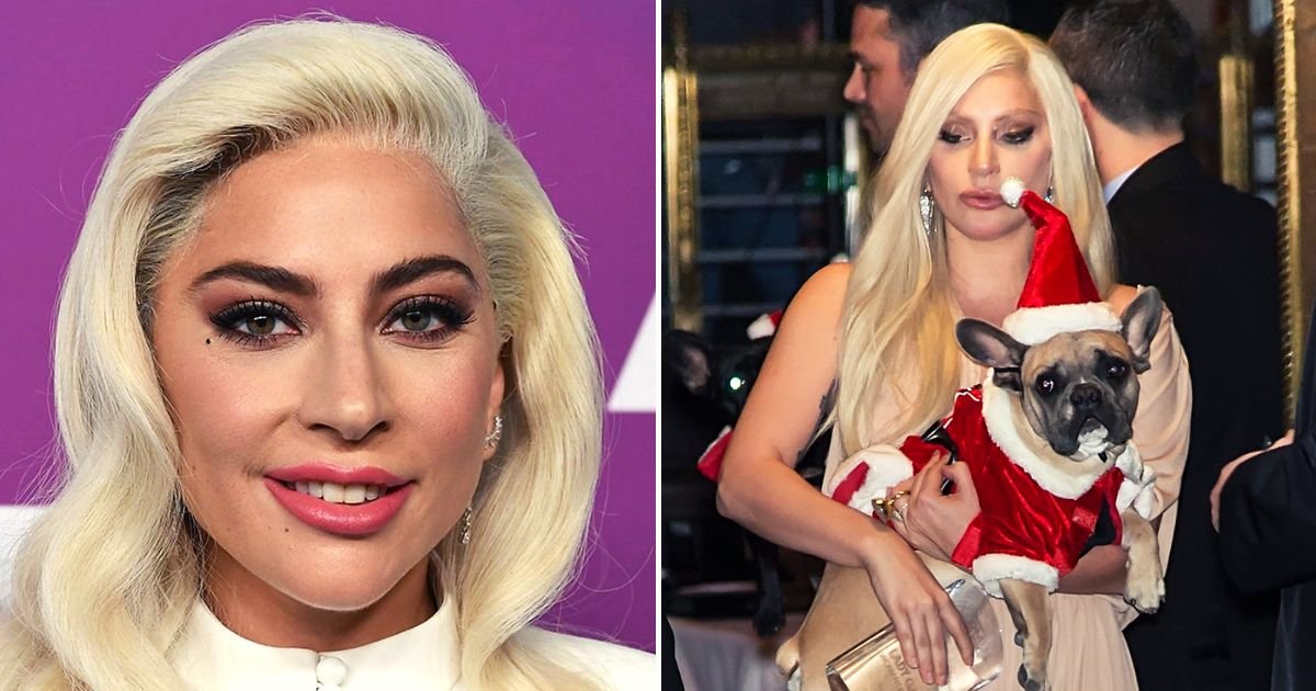 gaga4.jpg?resize=412,275 - JUST IN: Lady Gaga Is Being SUED By The Woman Who Returned Her Stolen Dogs