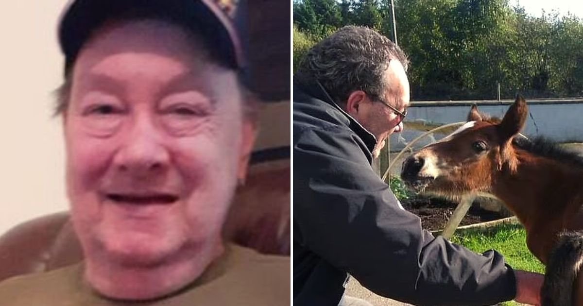rooster4.jpg?fit=1024%2C538&ssl=1&strip=all - 67-Year-Old Grandfather Was Killed By A 'Violent Chicken' That Previously Attacked Another Person