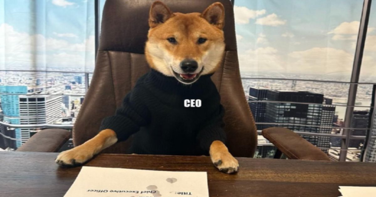 t1 12.png?resize=1200,630 - BREAKING: Twitter's New CEO Unveiled & He's None Other Than Elon Musk's Pet DOG