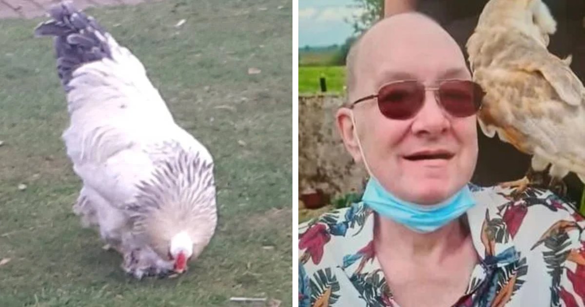 t10 3 1.png?fit=1024%2C538&ssl=1&strip=all - BREAKING: 'Loving Father' Found In A Pool Of Blood After Being KILLED By An Aggressive CHICKEN
