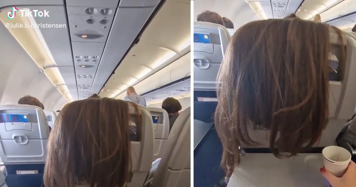 t3 5 1.png?resize=1200,630 - "The Passenger In Front Of Me Found It Ok To DRAPE Her Long Hair Across The Back Of Her Seat! Is That Fair?"