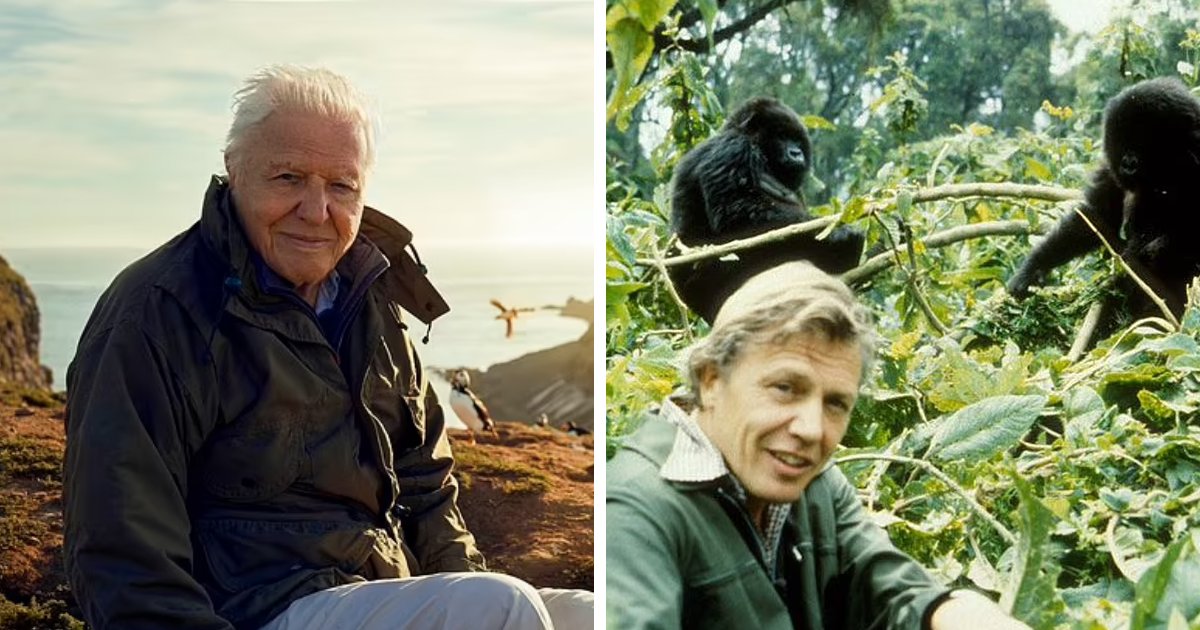 t6 2 1.png?resize=412,275 - EXCLUSIVE: Sir David Attenborough Admits Wishing He Could Have 'Filmed In Britain' More Than He Did