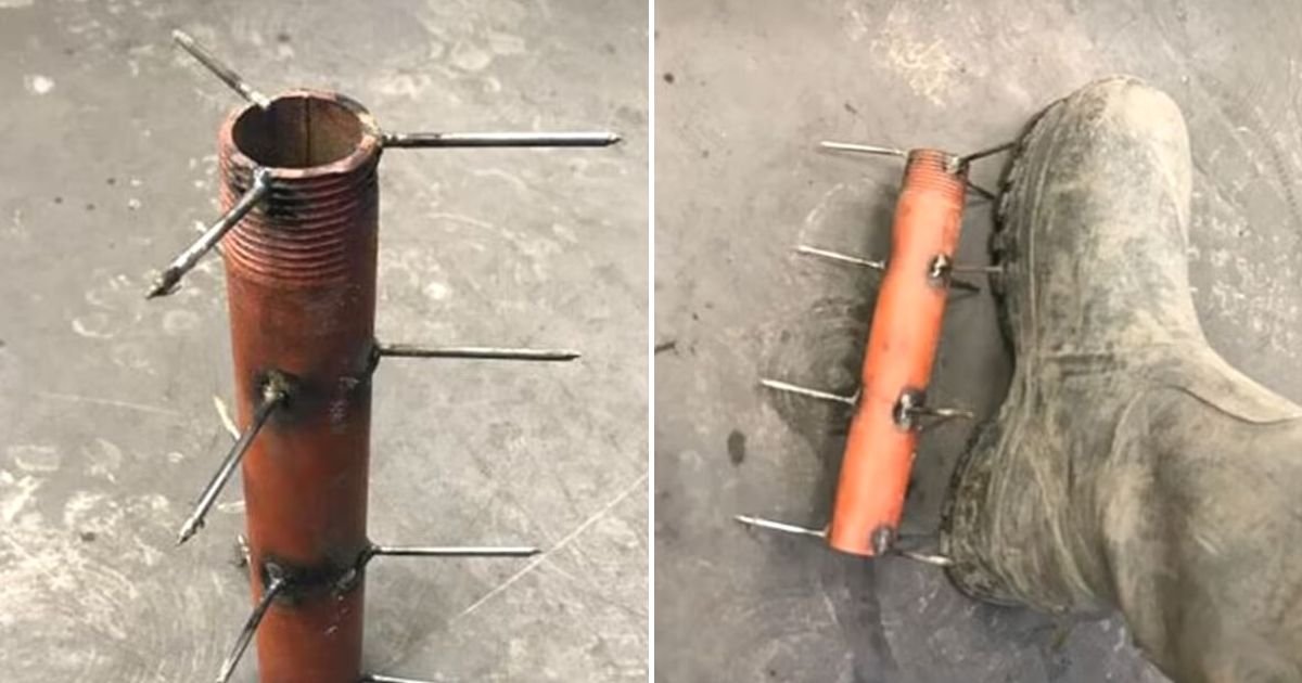untitled design 45.jpg?fit=1024%2C538&ssl=1&strip=all - Man Left Horrified After Finding Deadly Spiked Traps In Popular Spot Where Children Play