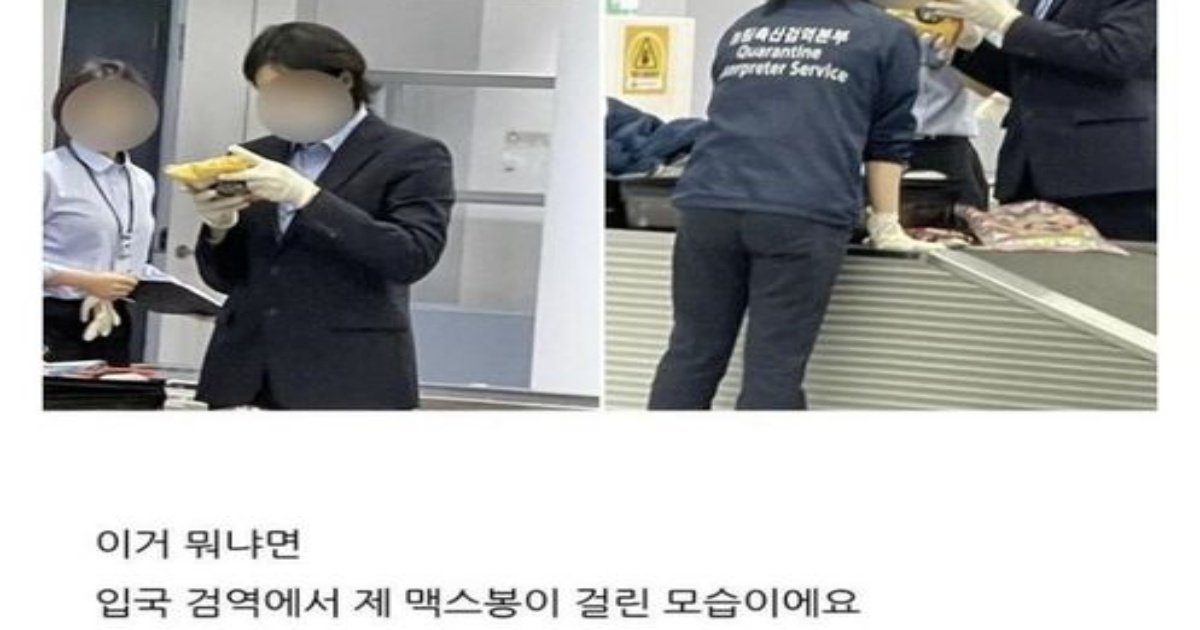 335864280 929767635138752 1598520502157697615 n.jpg?resize=412,275 - 공항 마ㅇ탐지견에게 걸린썰…(+반전ㅋㅋㅋㅋㅠㅠ)