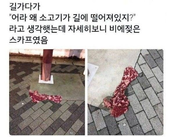 문구: 