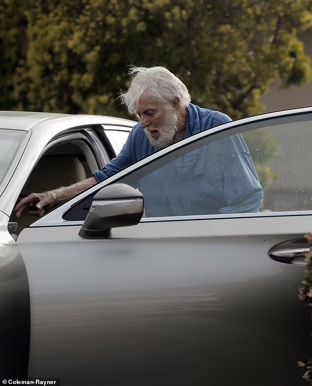 Breaking Mary Poppins Star Dick Van Dyke 97 Crashes His Car After Losing Control While