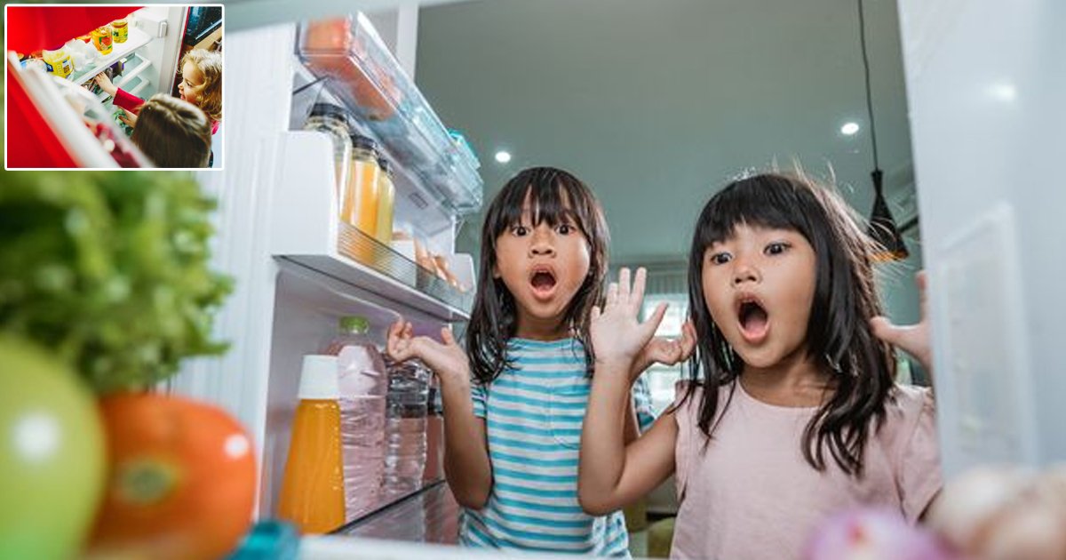 d140.jpg?resize=1200,630 - Mother Sparks Major DEBATE After Forcing Her Kids To PAY For The Food They STOLE From Her Fridge