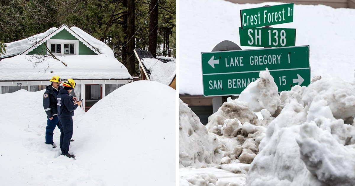 d18 1.jpg?resize=412,275 - BREAKING: 93-Year-Old California Woman DIES After Being TRAPPED In Her Home Due To Blizzard