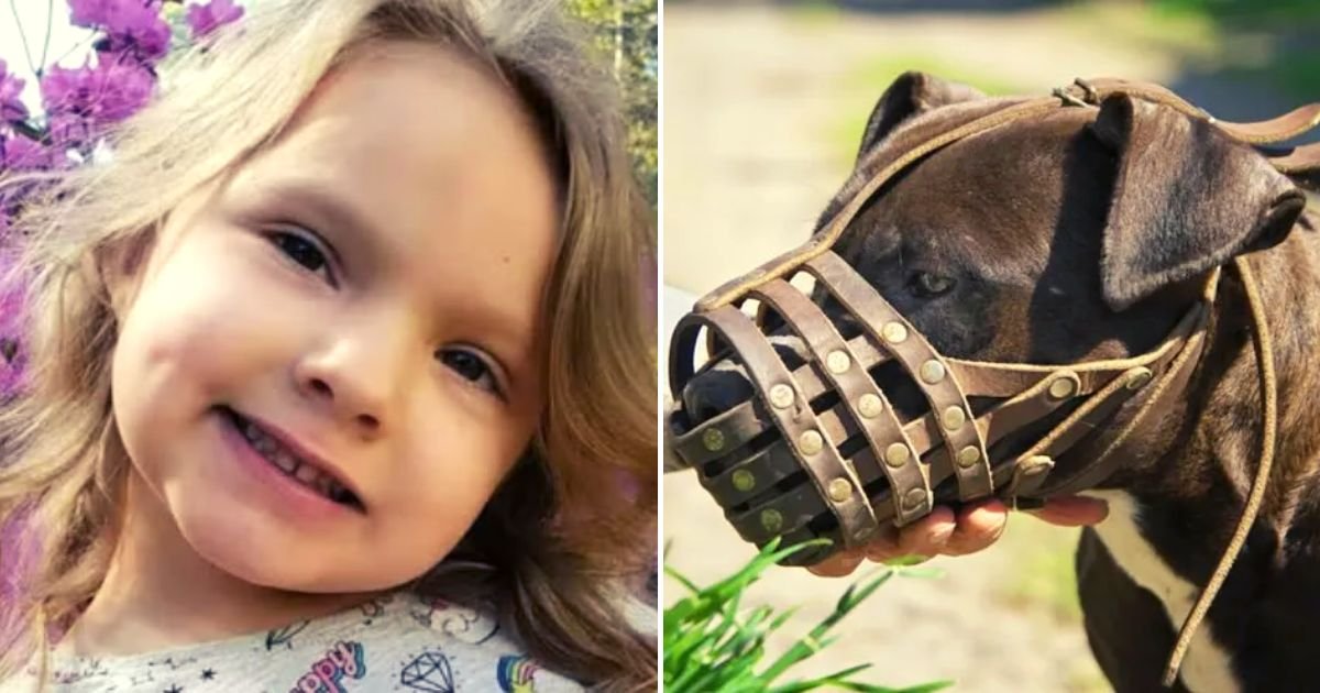lily4.jpg?resize=1200,630 - 6-Year-Old Girl 'Won't Be Able To Smile Again' After Suffering Serious Injuries After Being Attacked By A Pit Bull