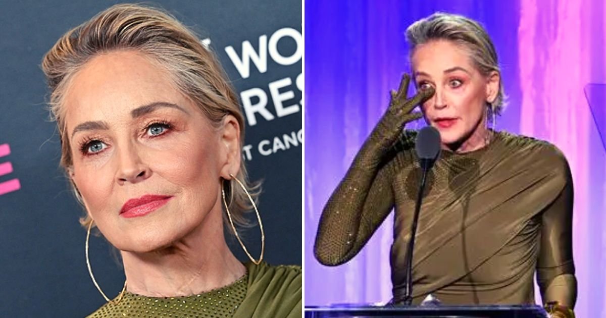 stone5.jpg?resize=412,275 - JUST IN: Sharon Stone, 65, Breaks Down In Tears After Revealing How She LOST Half Her Fortune In A Banking Collapse