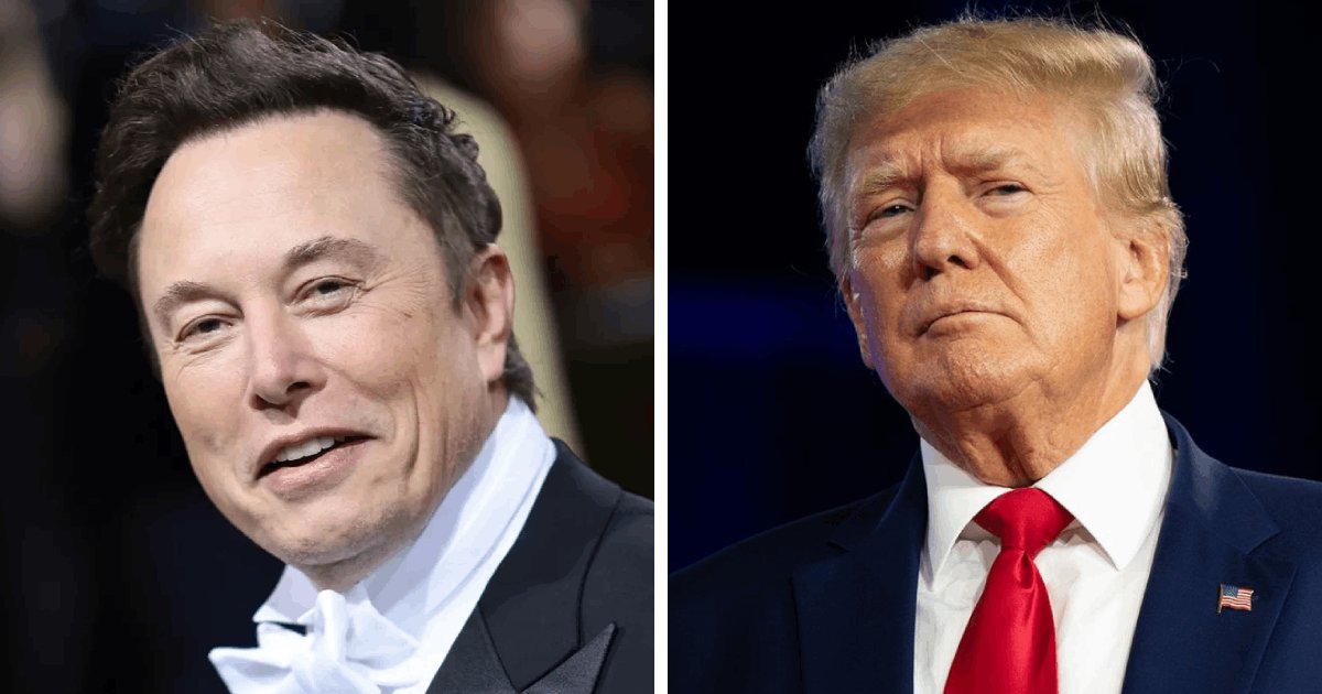 t1 11 1.png?resize=1200,630 - BREAKING: Elon Musk Predicts Donald Trump Will WIN The US Re-Election By 'Landslide Victory' If ARRESTED
