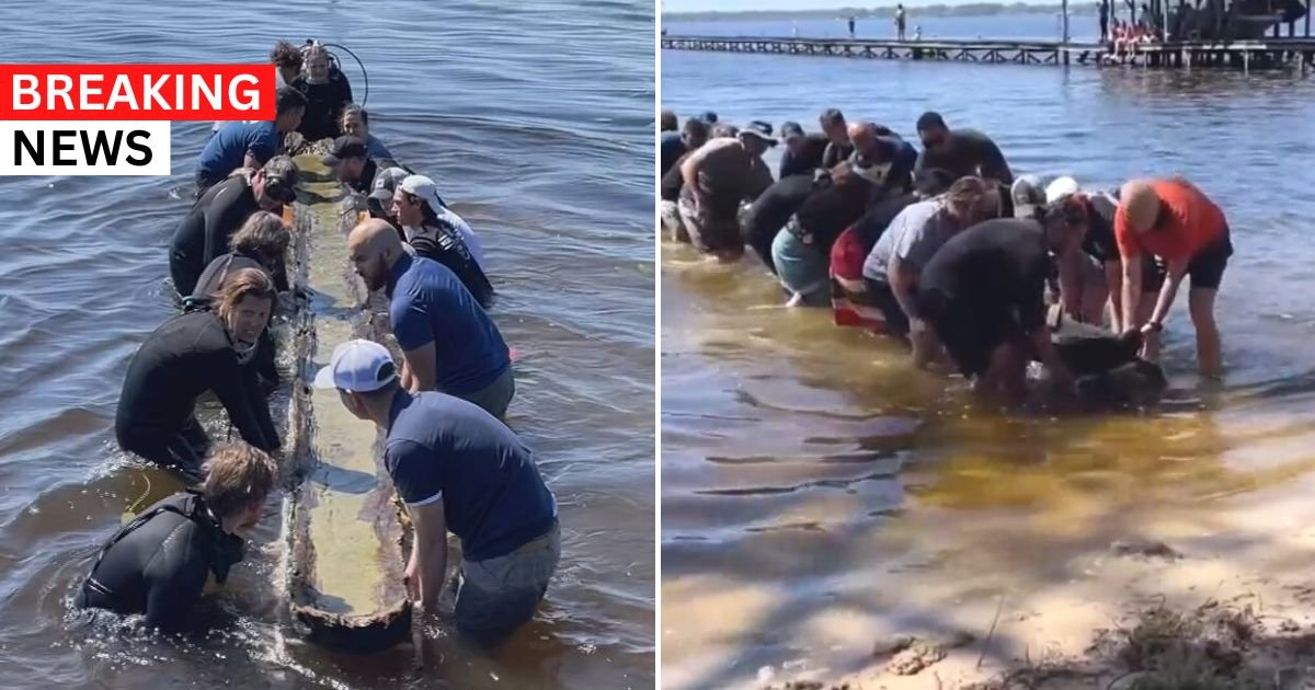 breaking 79.jpg?resize=412,232 - BREAKING: 930-Year-Old Native American Canoe Is Retrieved From A Lake