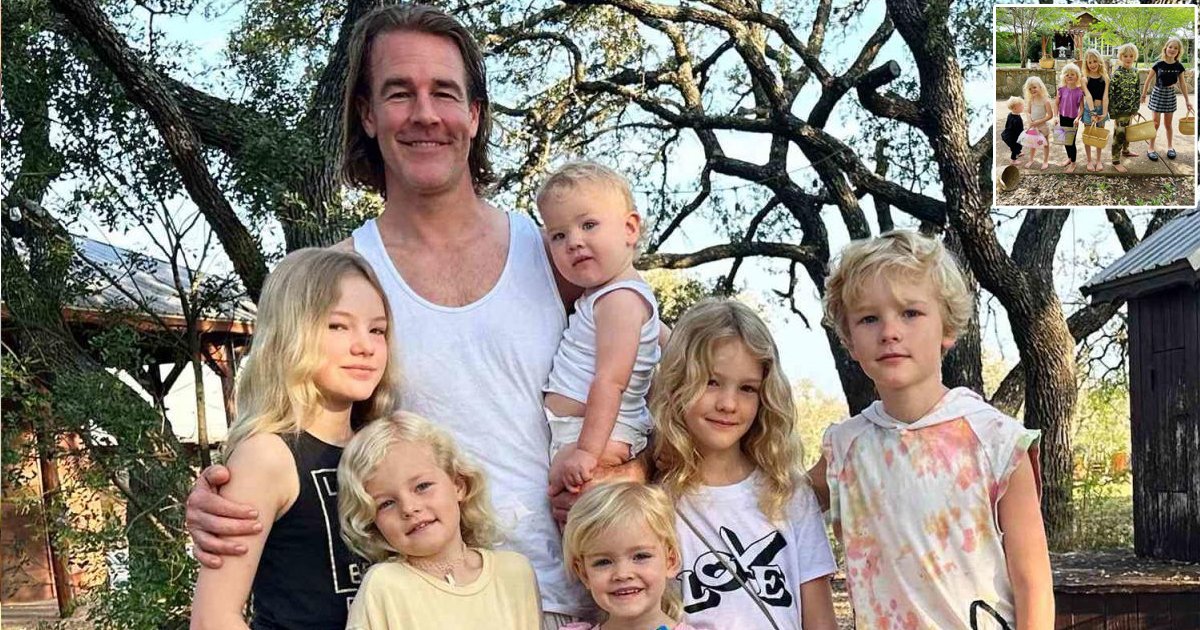 d123 1.jpg?resize=1200,630 - Actor James Ver Der Beek Leaves Fans Stunned After Claiming His SIX Kids Are Battling With 'Head Lice'