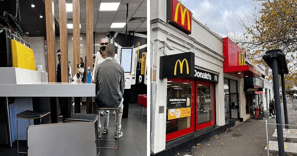 t5 6.png?resize=412,275 - EXCLUSIVE: McDonald's BLASTED For Allowing 'Long Haired Chihuahua' Sit On Its TABLE Where Diners Eat