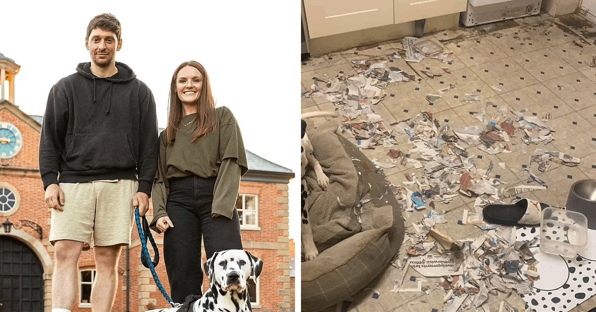 t5 9.png?resize=412,275 - EXCLUSIVE: Couple's 'Destructive' Dalmatian Leaves House In RUINS With Owners Calling For HELP!