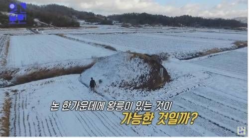 [스압] 논 한가운데에 있는 일반 무덤의 20배 크기 무덤.jpg