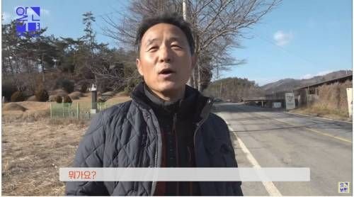 [스압] 논 한가운데에 있는 일반 무덤의 20배 크기 무덤.jpg