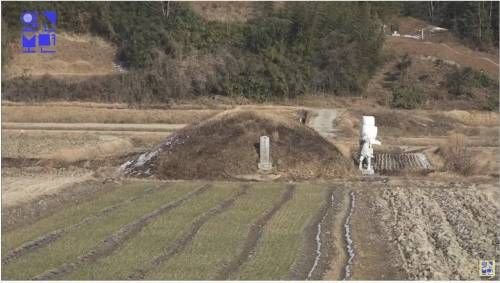 [스압] 논 한가운데에 있는 일반 무덤의 20배 크기 무덤.jpg