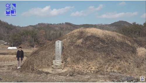 [스압] 논 한가운데에 있는 일반 무덤의 20배 크기 무덤.jpg