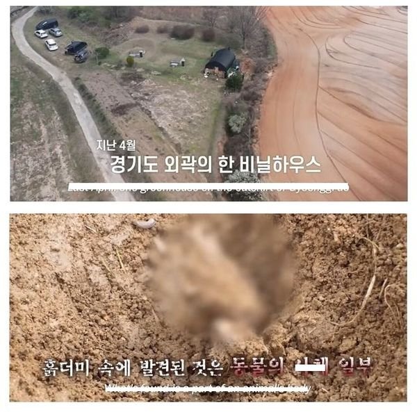 12 4.jpg?resize=300,169 - 20년에 걸친 복ㅅ에 성공한 할머니 ㄷㄷ